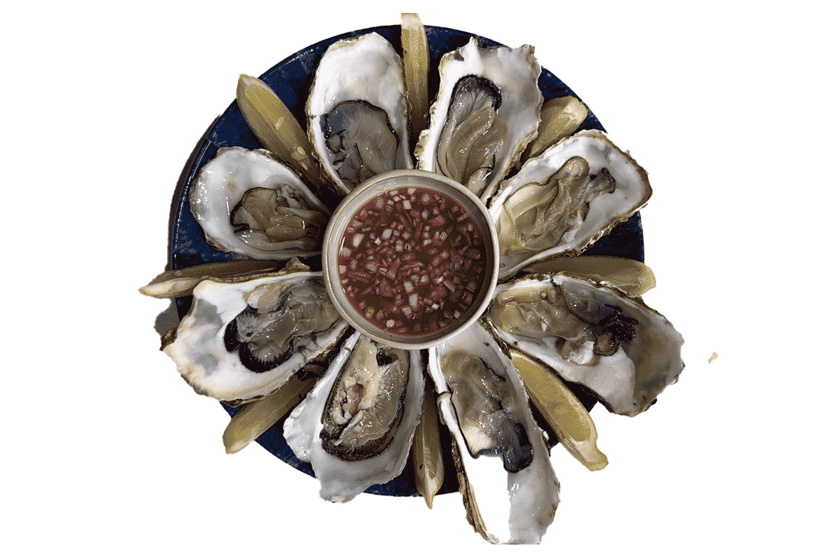 Fresh Oysters Luma Rovinj Restaurant Bar Rovinj Croatia