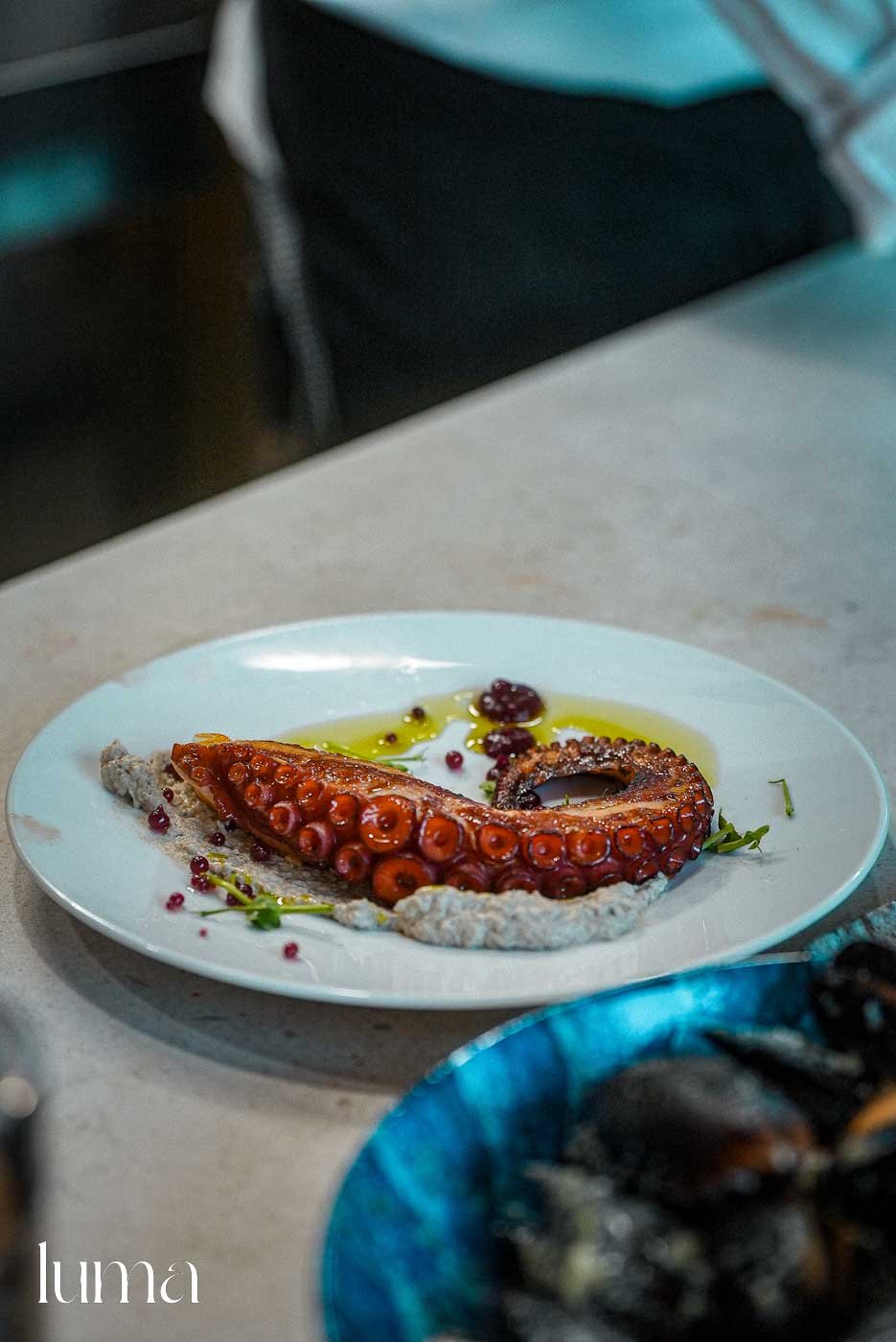 Grilled octopus at Luma seafood restaurant in Rovinj Croatia